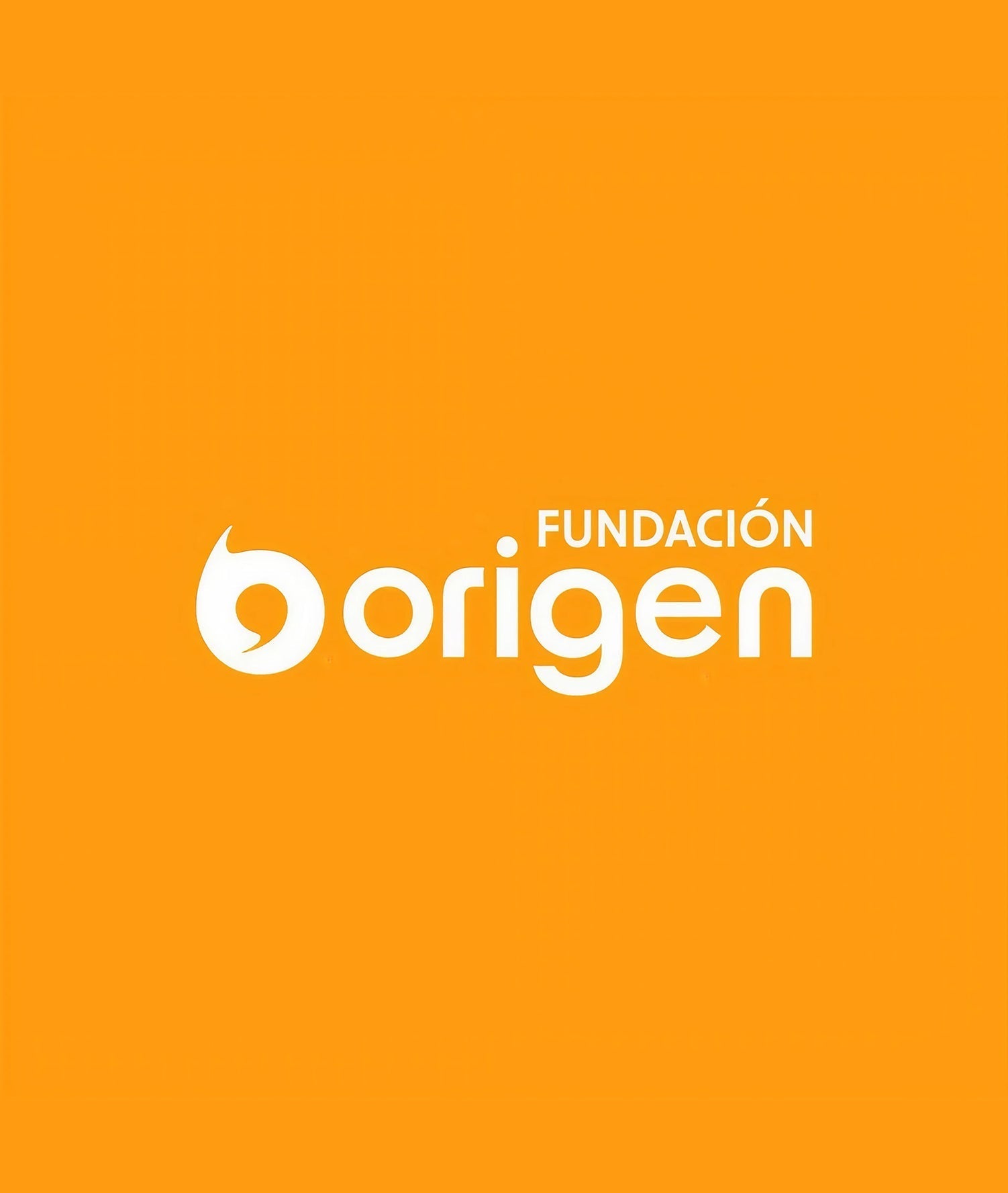 Fundacion Origen